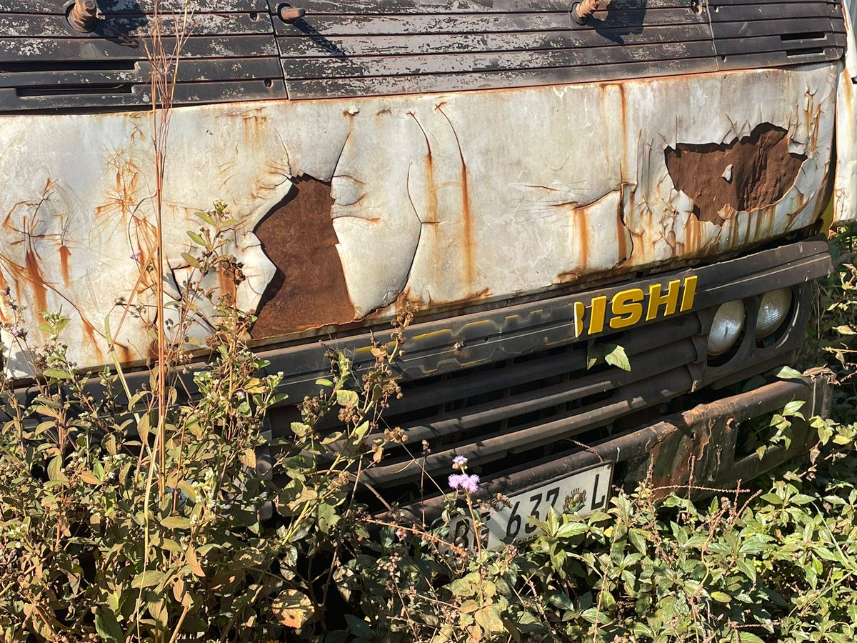 Blessed Mavhungu tweet media