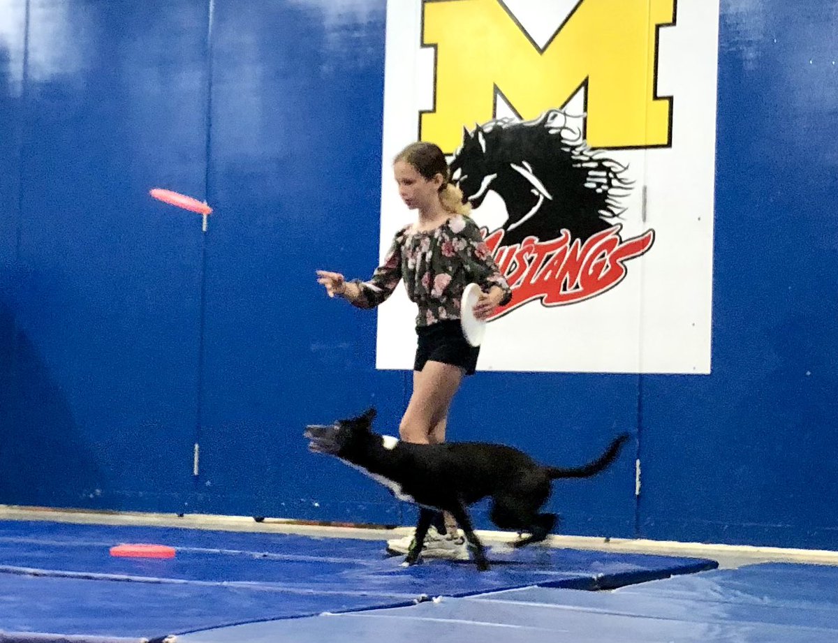 Meadows School tweet media