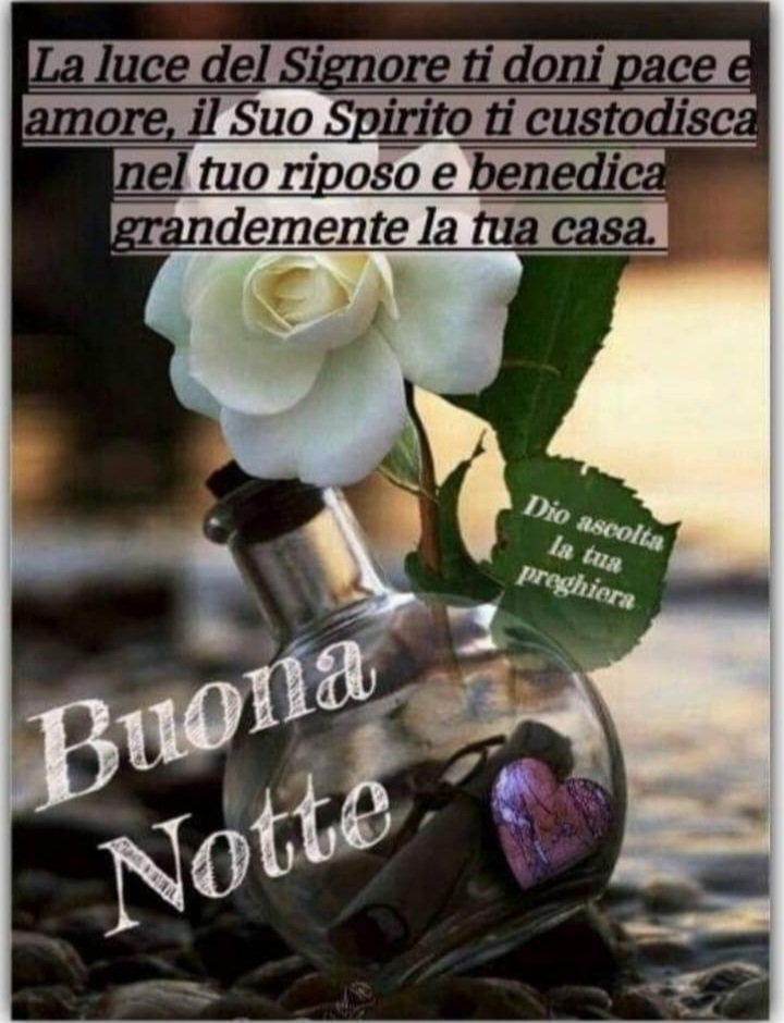 #Buonanotte a tutti!♥️✨️#goodnight #BuenasNochesATodos  #Bonnenuit  #gutenacht