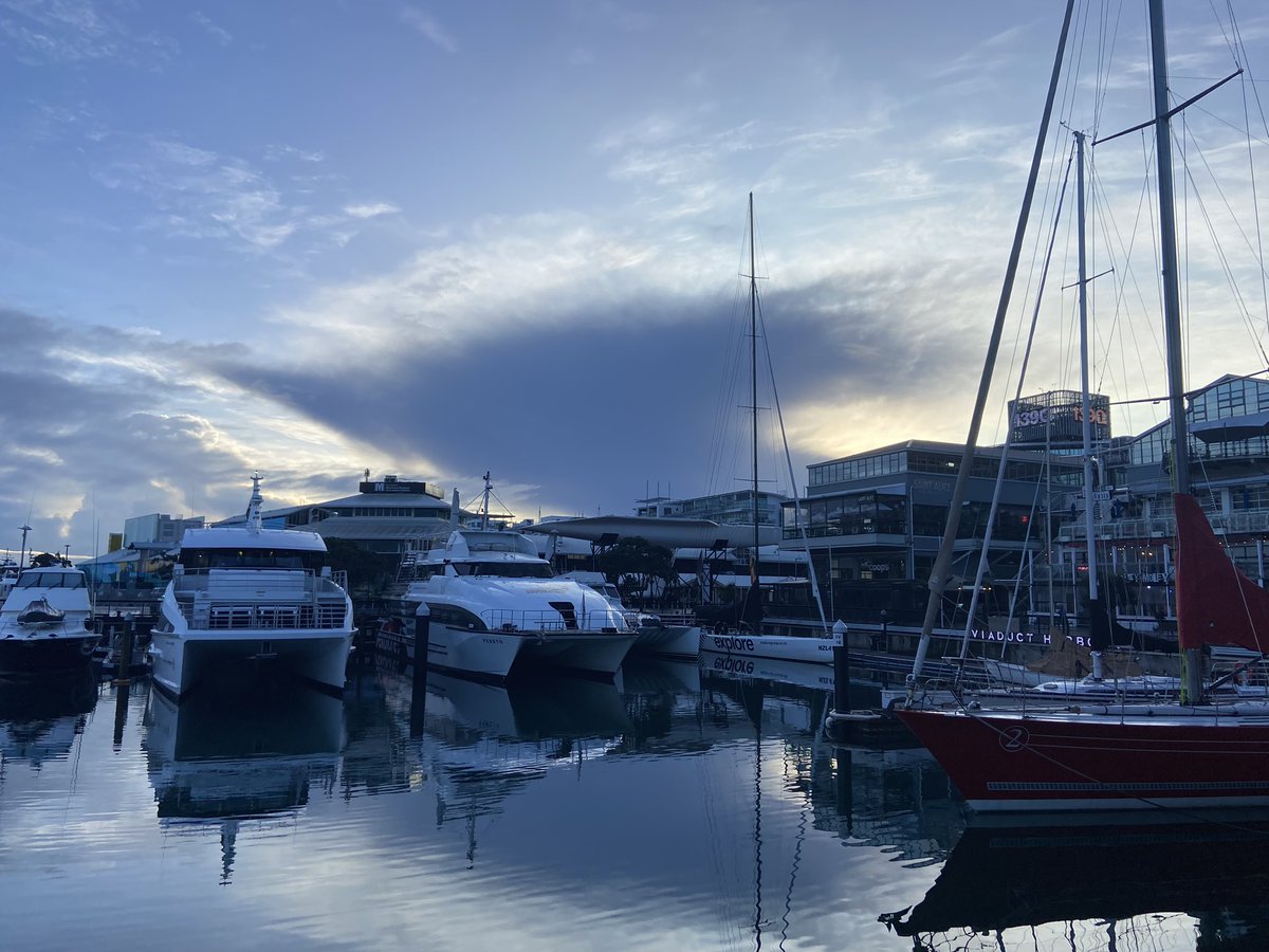 Good morning #Auckland I am all ready and excited to go to #TiritiriMatangi have lost count of how many times I’ve gone, but what else can you do in Auckland except go to look at birds? 😉 #NZBirds #DayTrip #BirdNerd #GottaFindAKokako