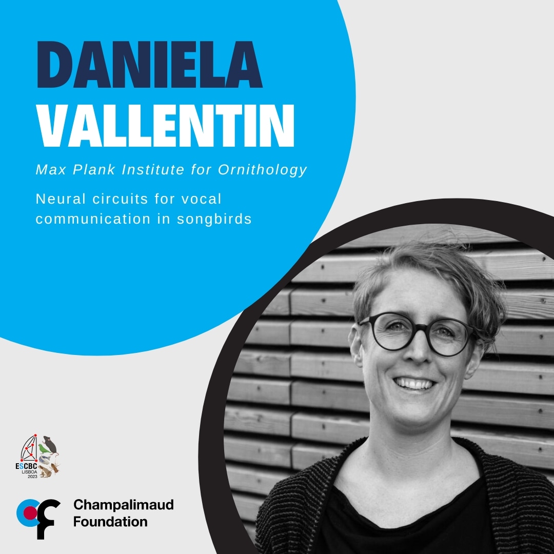 🐦 🐀 Introducing our first external speaker: Dr Daniela Vallentin!!

Group Leader at the Max Planck Institute for Biological Intelligence, she studies the neural mechanisms underlying song learning and vocal interactions in songbirds.

<a href="/LabVallentin/">Vallentin Lab</a> <a href="/MPIforBI/">MPI for Biological Intelligence</a>
