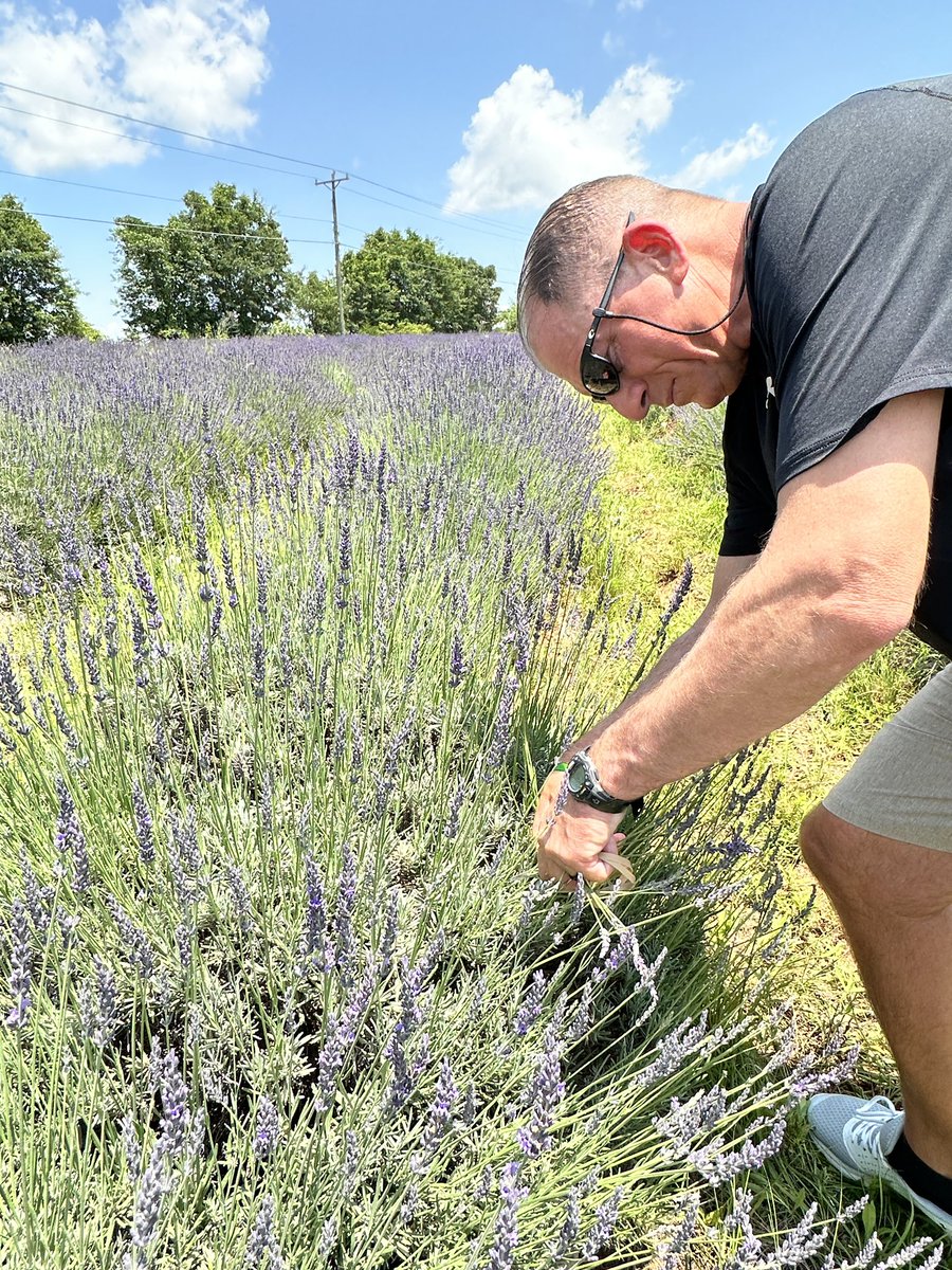 TiffanyErvin's tweet photo. 50/50 my #50for50 (yep, finally finished!) first trip to a “you pick” lavender farm! Great to see my friend Michelle- so proud of her - & spend the day outside with #theguy @bill_boroff #tiffanystravels #roadsideadventures #smilingfacesbeautifulplaces #WilliamstonSC https://t.co/5zcUiWuWI6