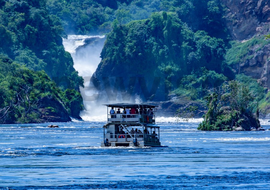 At Safari Factor we believe that a well informed traveller is a safe traveller. For bookings and enquiries please visit our website or Whatsapp us on +256759207421. #wildlife  #wildadventure #EastAfrica  #safariafrica #safarifactor