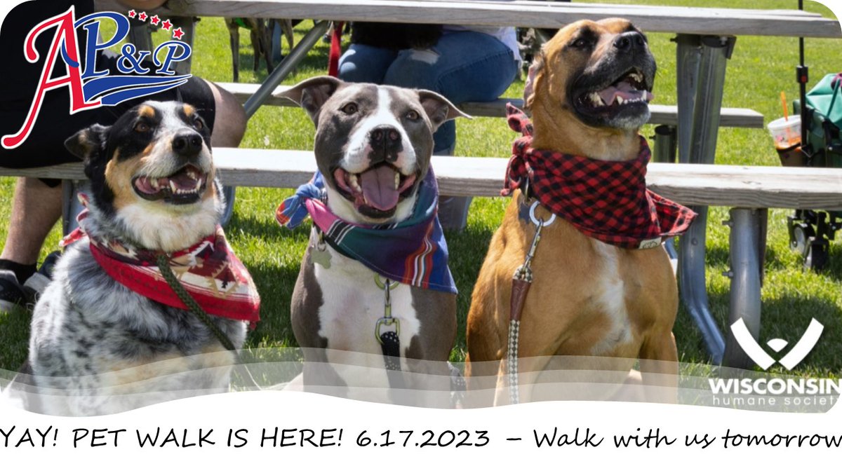 Tomorrow, Sat., 17th is the #petwalk. Bring your pup & have a great time. The #humanesociety appreciates all the support from it's amazing community.

Check out our website to #donatetoday: americanpaper.com/CommunityOutre…

Wisconsin Humane Society #loveanimals #animalsoffacebook