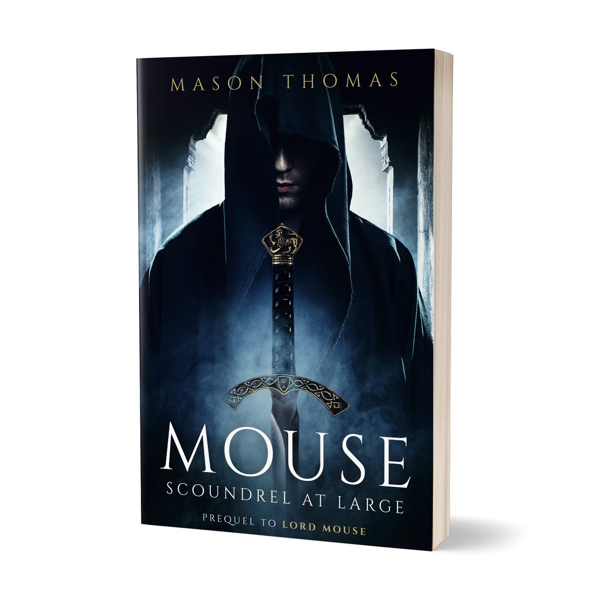 ⭐️⭐️⭐️⭐️⭐️ New Review! 'Loved it. I really like the Lords of Davenia books and this prequel to the first story gave a wonderful background to what made Mouse the thief extraordinaire, not to mention a great worldbuilding that sets the tone.' Find it here>>>amazon.com/Mouse-Scoundre…