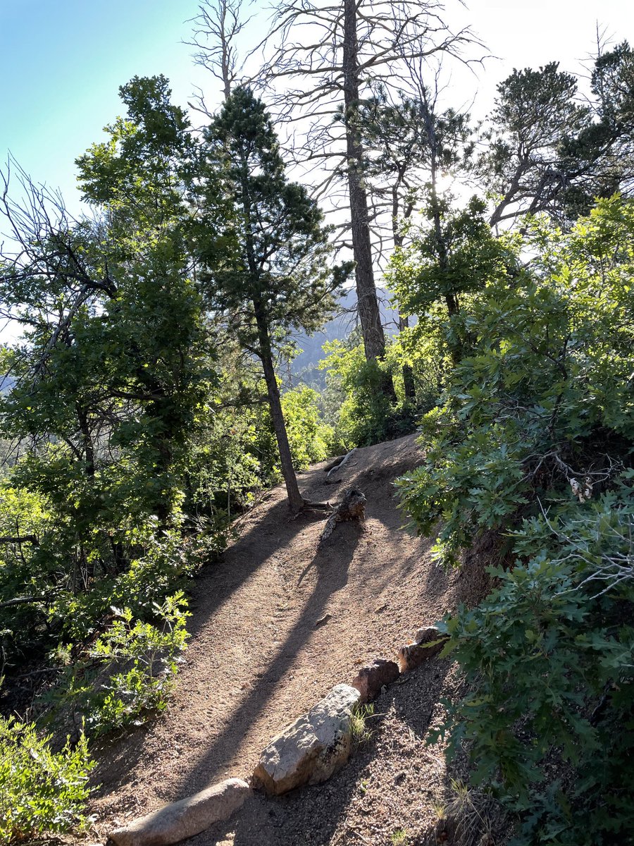 KathCantwell's tweet photo. Logging miles, enjoying the beauty along the way. #nmplayground https://t.co/o6LpmNxDw8