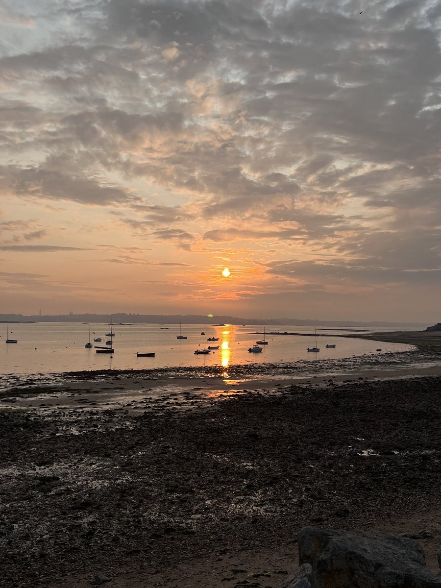 Hemarina's tweet image. Chez moi, La #Bretagne, le #Finistère couchez de soleil sur l’île #Callot - #Carantec avec ses plages colonisées de Arenicola marina