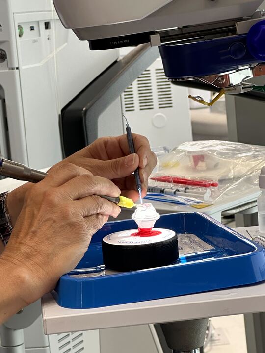 SimulEYE tweet media