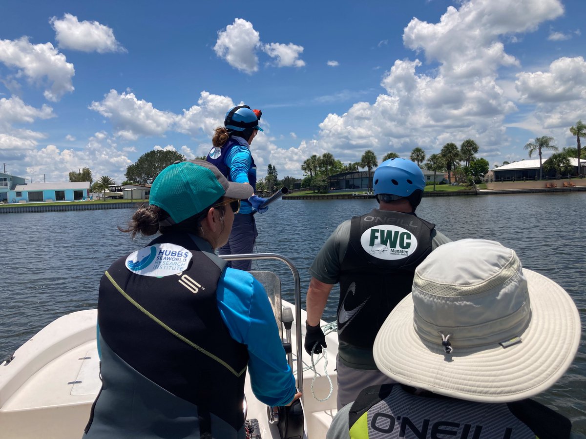 Hubbs Marine Mammal Research & Rescue tweet media