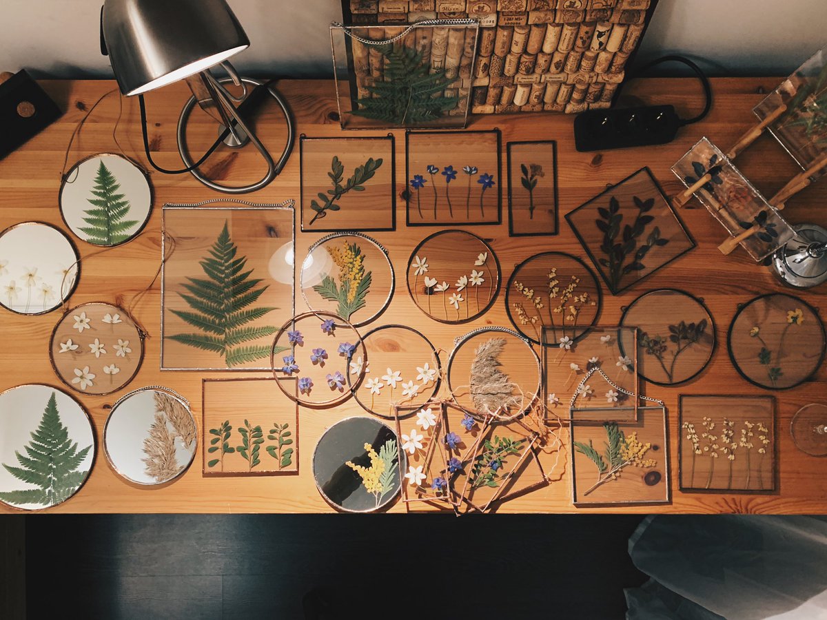 lenarrrik's tweet image. новый закреп

приветики, меня зовут Лена, уже почти год я собираю и закатываю в стекло (а еще и в зеркала!) гербарии

моё хобби выходит немножко из под контроля, поэтому я не так давно начала прощаться с частью работ