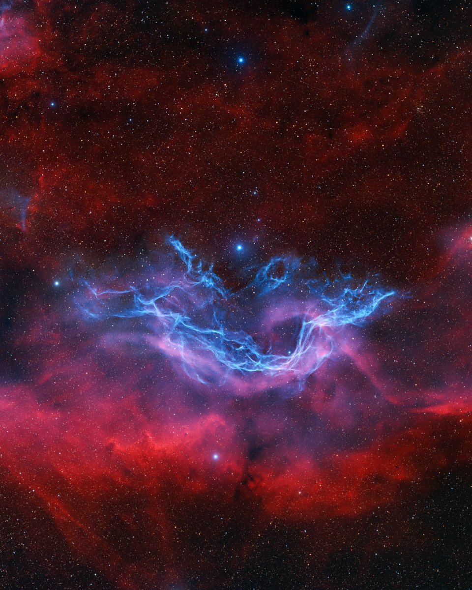 A supernova just occurred in M101, but I was too busy capturing this supernova remnant which has never been photographed!