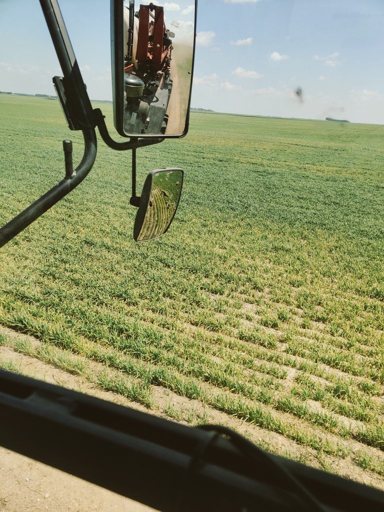 Ken Sarauer 🇺🇦 tweet media