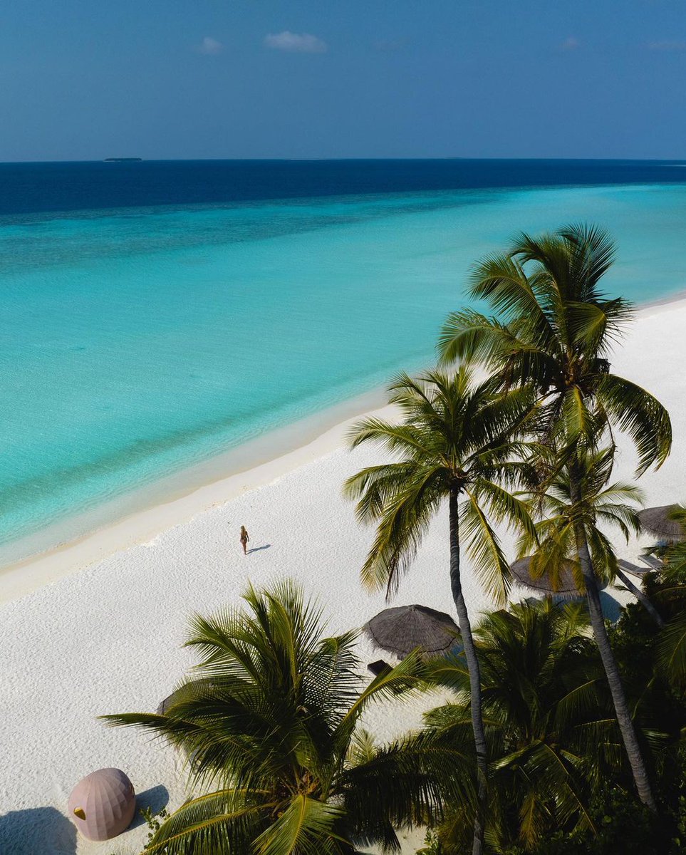 T R O P I C A L P A L M T R E E S 🌴🌴

📍Maldives
📸 @mairacollini via IG
#maldives #maldivesislands #maldive #maldiveisland #visitmaldives #beautifulmaldives #maldiveslovers #maldivesbeach #travelmaldives #baaatoll #palmtrees #djimavic #djimavicpro #maldivesphotography