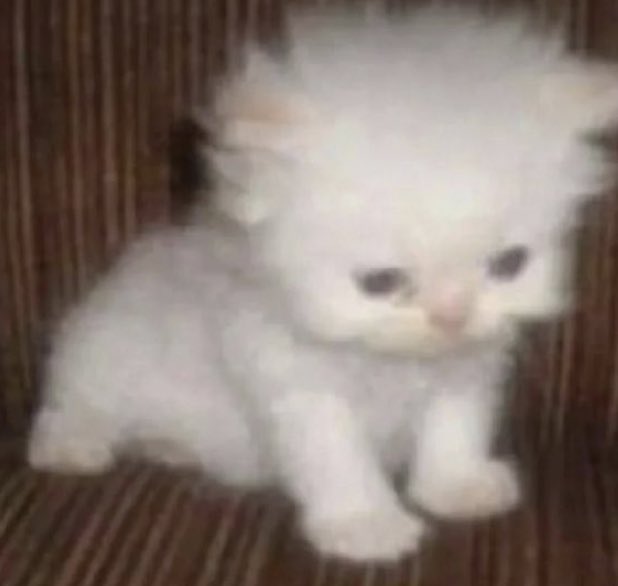 whhaet'"za hap,,pen  ninggg
