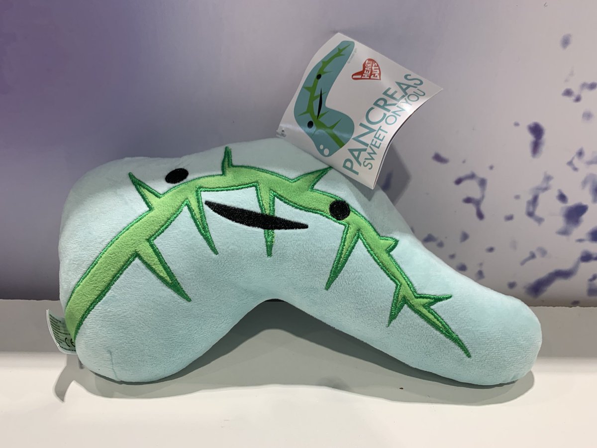 JoyYWu's tweet photo. I was hoping to bring home both endocrine plushies, but I can only fit one in my suitcase. So I’m putting it to a vote- are you #TeamThyroid or #TeamPancreas? #ENDO2023 https://t.co/0FXiE60VJZ