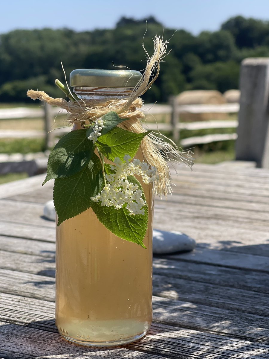 ‘Tis the time of the season ♥️ #ElderflowerCordial #foraging #homemade #summer