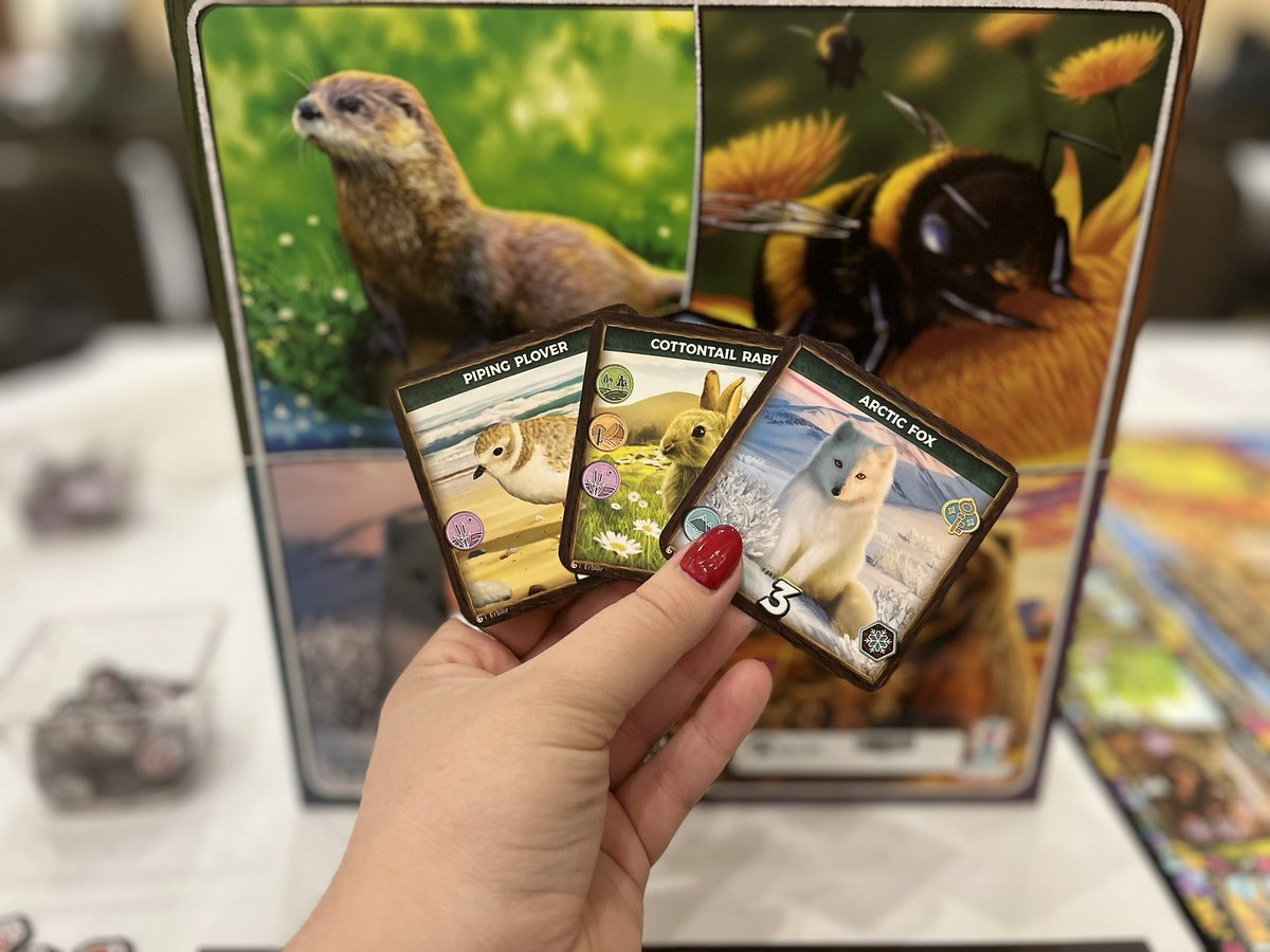 Keystone North America is a lovely game for 2 players! Carefully craft an ecosystem with these adorable plant and animal cards! This game has a few simple mechanics and where it shines is being a tight puzzle you want to build to perfection!