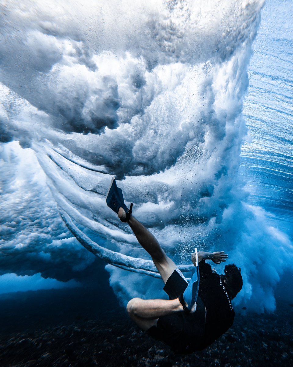 Coral Gardeners tweet media