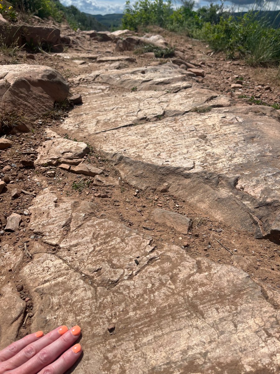 Sometimes you have to stop running for a moment to appreciate the slickenlines 😍

Triassic-Jurassic Nugget Sandstone, Wasatch Mtns, Utah

#wasatchlove