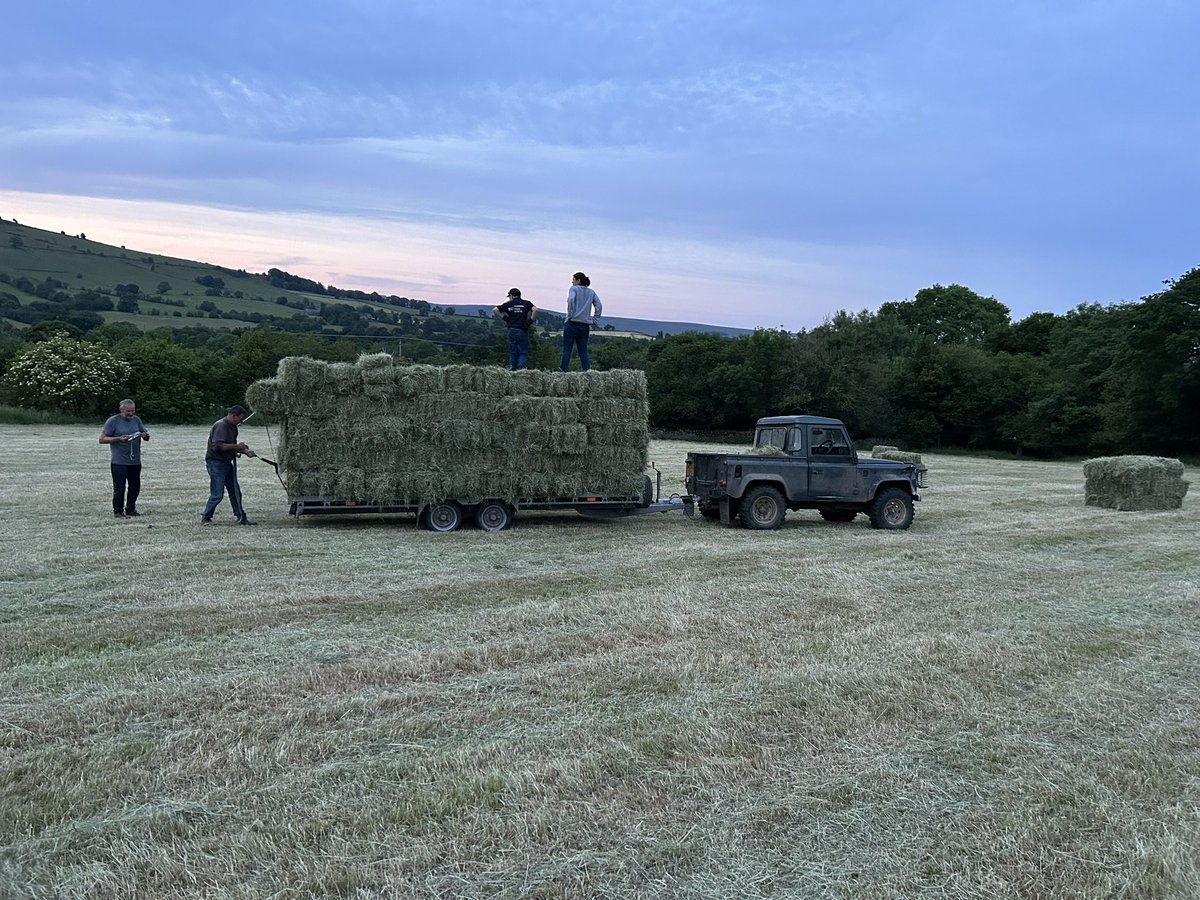 Haymaking: 600 carted, 200 to go #haymaking