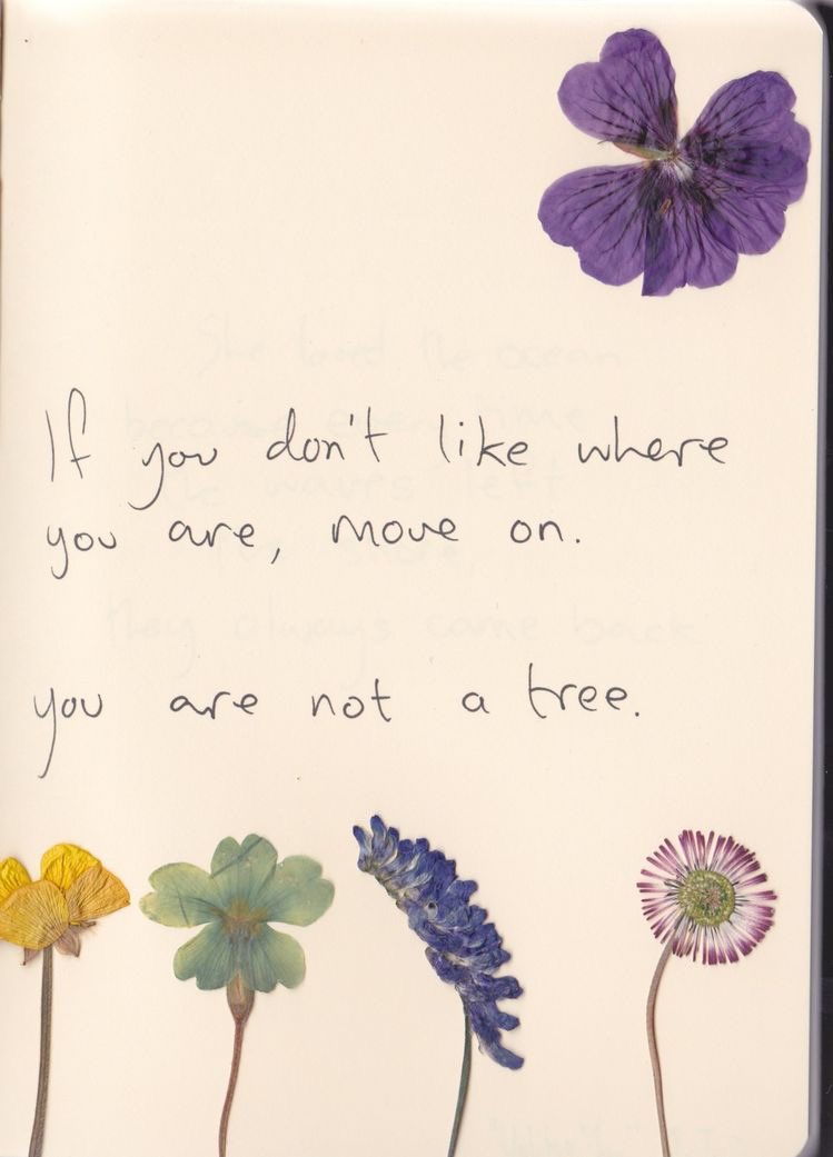 cosypixie's tweet photo. https://t.co/K8K5Q7Koml