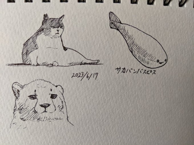 ウサギやウマ、魚等の眼が横に付いてるのはわかる、すげーわかる 視野が広いことで外敵を察知して生存率を上げるからな… だがこいつはどういう事だああ〜!? カキカキ。 