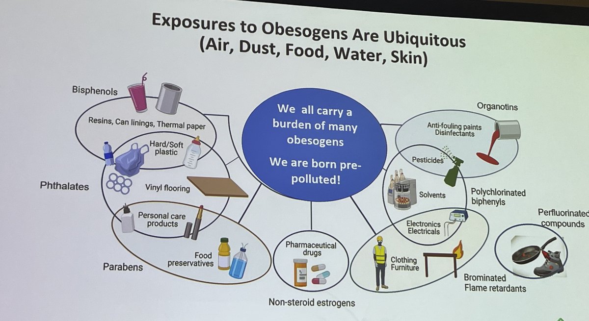 Obesogenic substances are EVERYWHERE!

We consider the western diet obesogenic because of its high fat, high sugar.
But what about the the plastics that hold that food? 

Bisphenol and phthalates in plastics leach into our food/drinks that also cause weight gain #ENDO2023