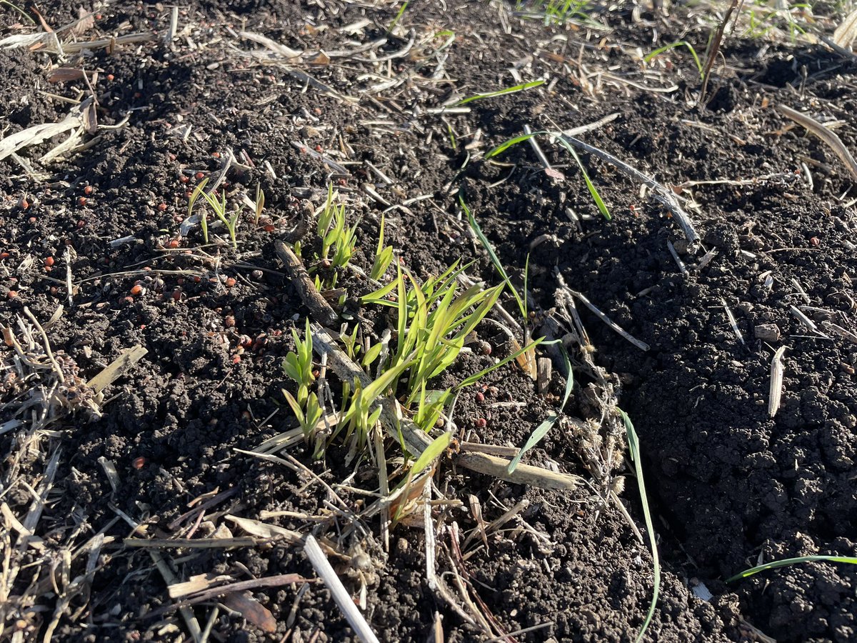 Martin Murray tweet media