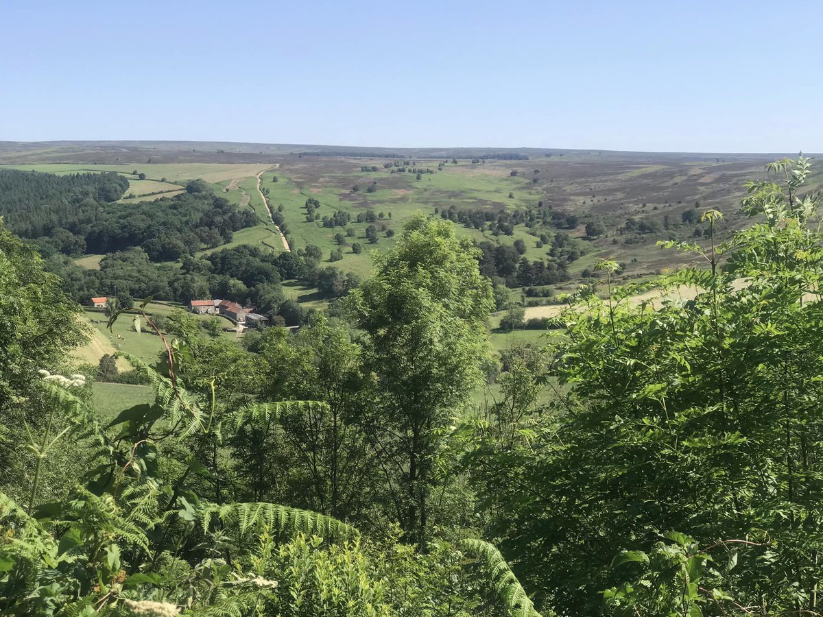 Yorkshire Cogs and Roses CC tweet media