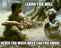 Is this the motto you live by ? Yes or No #Weedmob #Weedgrowers #weedsmokers #MMJ #CannabisCommunity #cannabisindustry #marijuana #Grower #WeedLovers #FridayFeeling #Friday #FridayMood