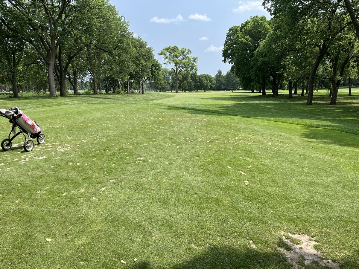 LPS Physical Education Summer Professional Learninf had folks at Jim Ager Golf Course learning games and activities through PGA Teaching Pro Zach Morley.  Tons of fun and a few of us stuck around to play a quick 9!  #BestJobEver #SummerOfLearning