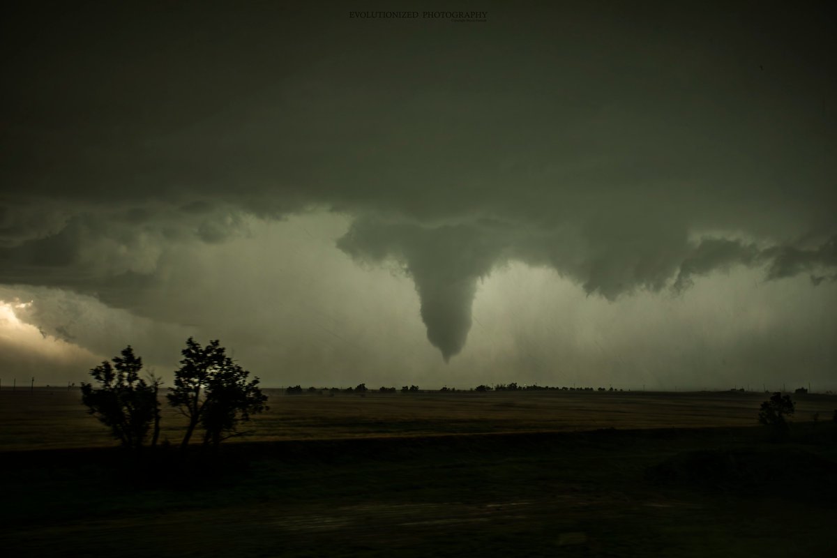 Ryan Shepard 🌪 on Twitter "RT Becca_Furnish The Evolution of the