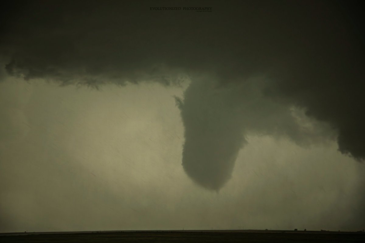 Ryan Shepard 🌪 on Twitter "RT Becca_Furnish The Evolution of the