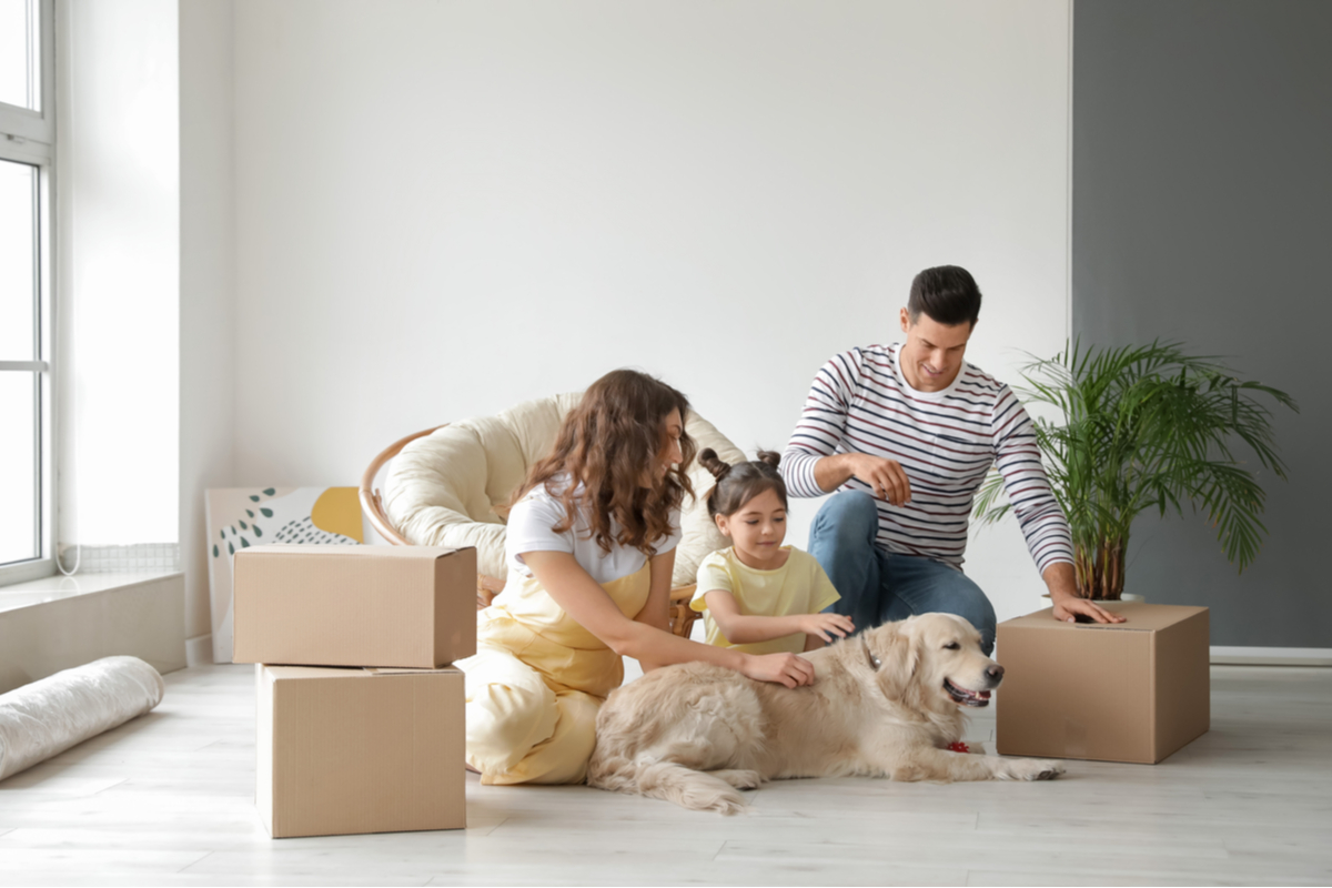 A smooth transition with a pet during a move can be helpful. Check out these #movingtips to help the process. #relocate  cpix.me/a/171726787