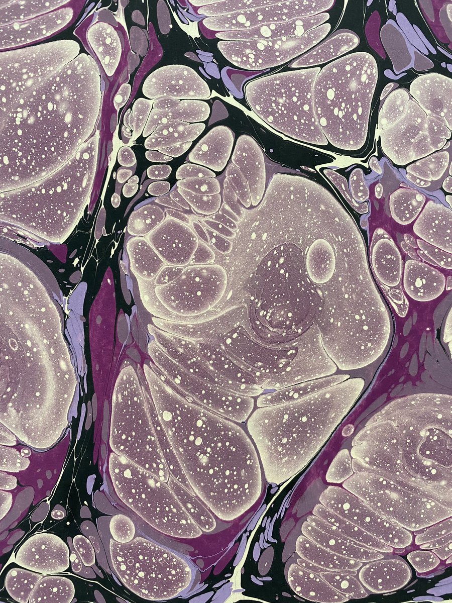 Ertugrul Incel tweet media