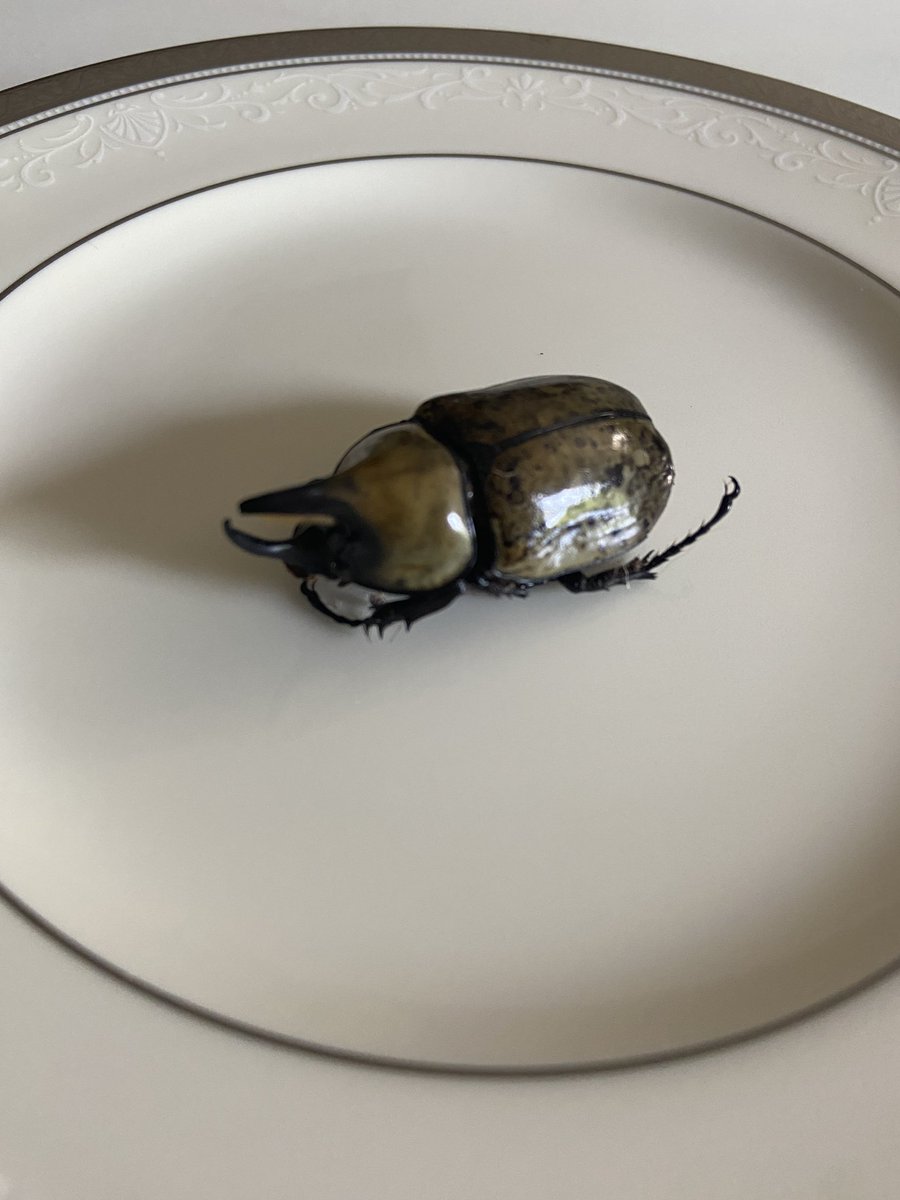 grink✨ tweet media