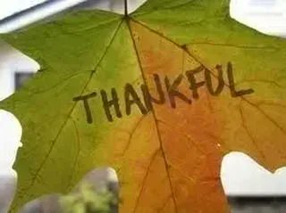 So much to be thankful for...taking nothing for granted! ~ #DTN #feelinggrateful