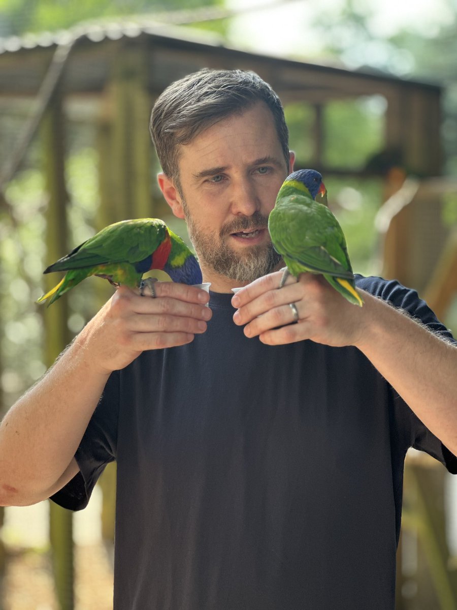 Paul Nicholson tweet media