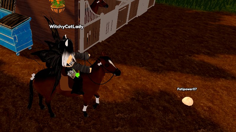 WitchyCatLady tweet media