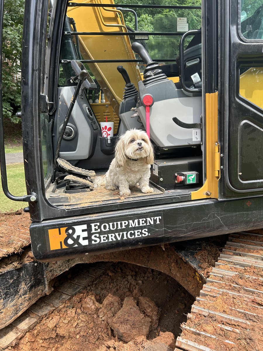 This team of @AspenGolf weren’t messing around with our sink hole on #6. 4 days start to finish: 250 ft of 18” pipe laid, graded and 10k sqft sod laid, done! Even found a storm drain basin 5 ft down concreted over with greens trunk line capped off at the basin. 🤦‍♂️ #dogsofturf