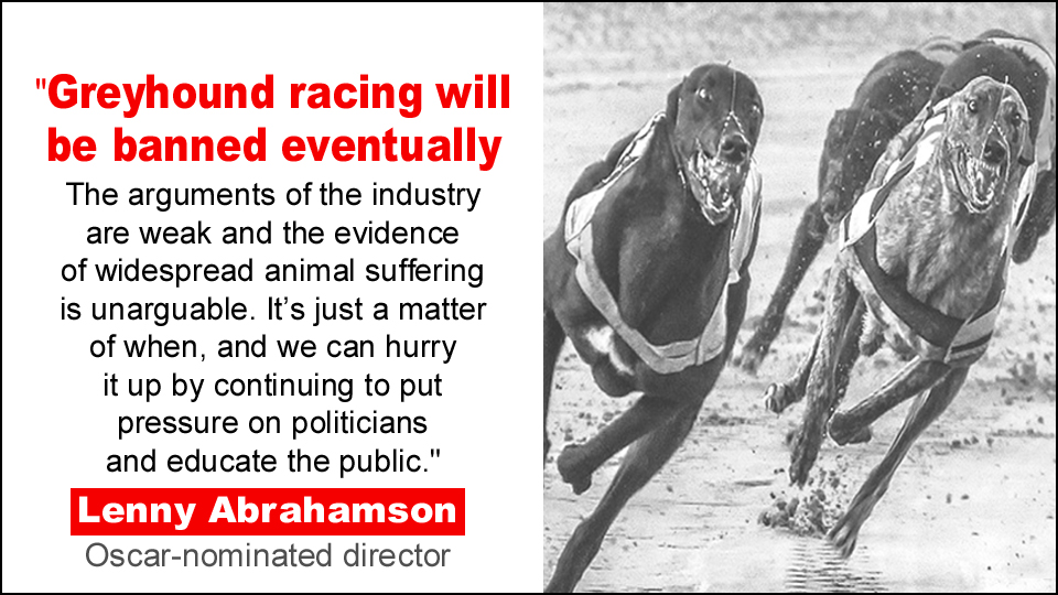 'Greyhound racing will be banned eventually' - Lenny Abrahamson. #BanGreyhoundRacing
