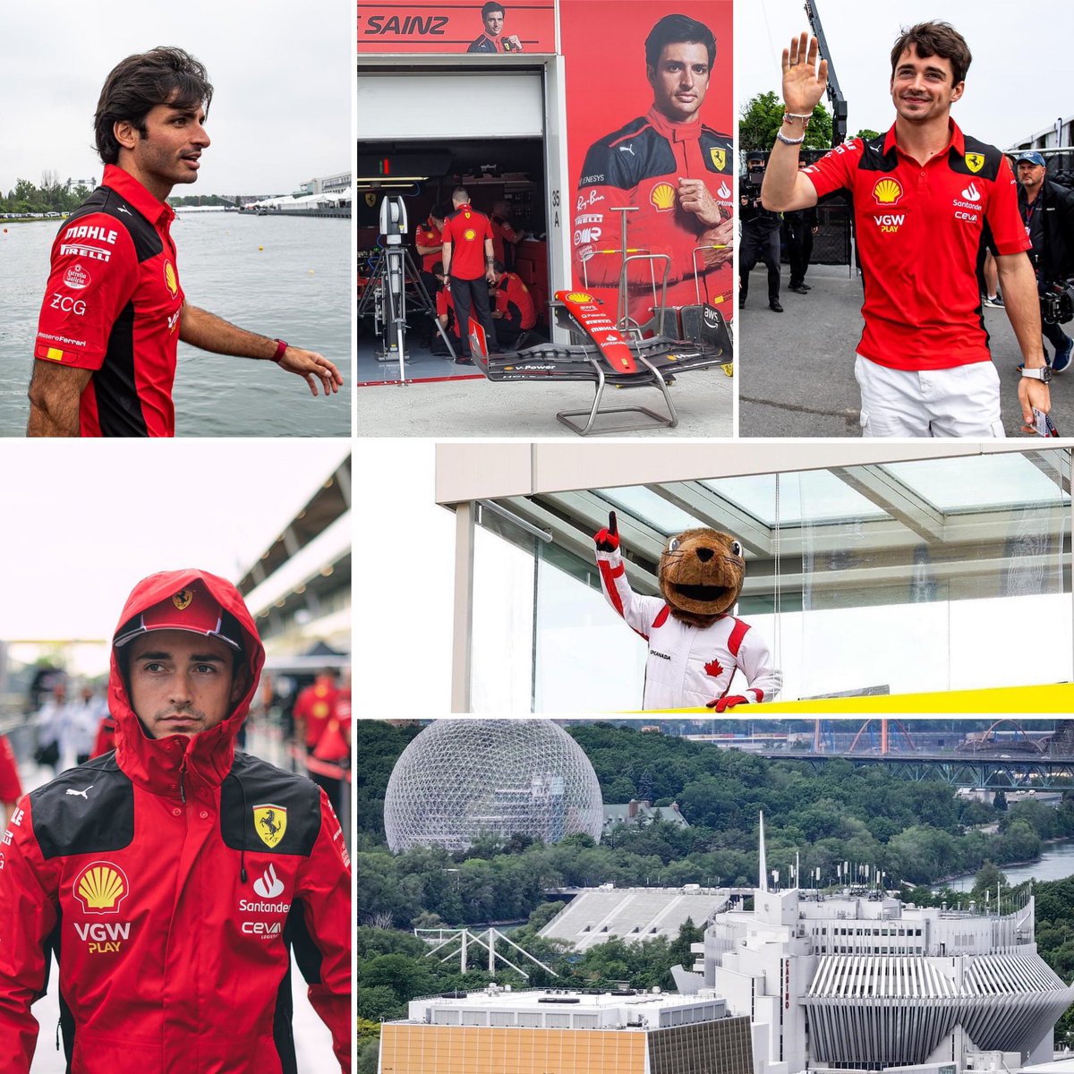 CANADIAN GP23 Picture Part 6
#CanadianGP  #Tifosiclub 🏎 #Tifosi #SF23 #F1 #Ferrari #ScuderiaFerrari  #MontrealGP #CarlosSainz55 #Carlossainz #Charles_Leclerc #Charles16 #forzaferrari #SalutGilles #liveyourferraripassion #FerrariClubOfMontreal