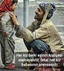 VeterinerHekim tweet media