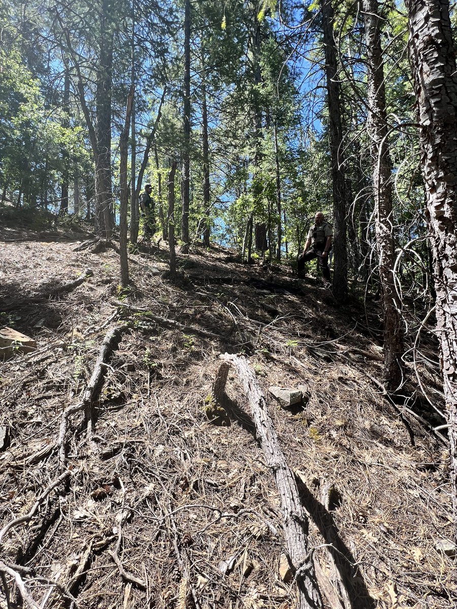 YavapaiSheriff's tweet photo. BEAR ATTACKS AND KILLS MAN IN WOODS AROUND PRESCOTT
At about 7:50 this morning, the YCSO dispatch center received multiple 911 calls about a man who was being mauled by a bear in the Groom Creek area. Full Info https://t.co/uuuTYI9PU2 IG post by @ycsoaz https://t.co/Efz8T27M4z https://t.co/JG6L35z5hE