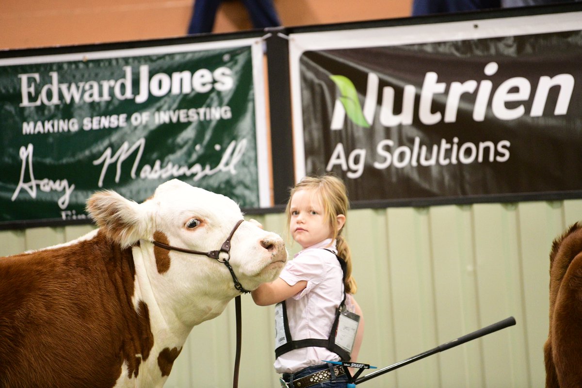 TiffDowell's tweet image. Spent my Friday watching my girl be named the Champion Pee Wee Showman at the Panhandle Parade or Breeds! 🏆 #momlife #mygirl #thatlook