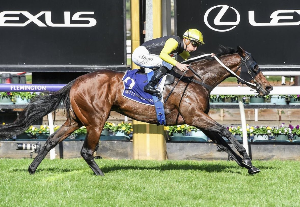 Tricolours Racing tweet media