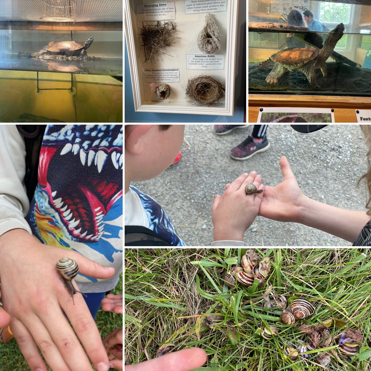 What a day at Bronte Creek! Thank you to our volunteers and Mrs Smith for planning our day learning about soils!
@StJoesActon @mrsdysselhof 

What a great day!