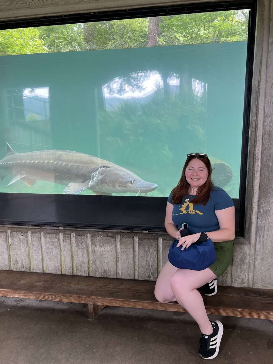 Elena E. tweet media