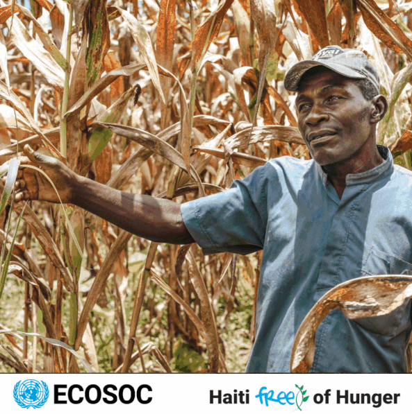 The people of #Haiti are facing a devastating humanitarian and protection crisis.

2 out of 5 people are going hungry.

At #HaitiCantWait @UNECOSOC event, @EdemWosornu stressed the need to address the urgent food security needs of Haitians.

➡️ bit.ly/3PctKtO