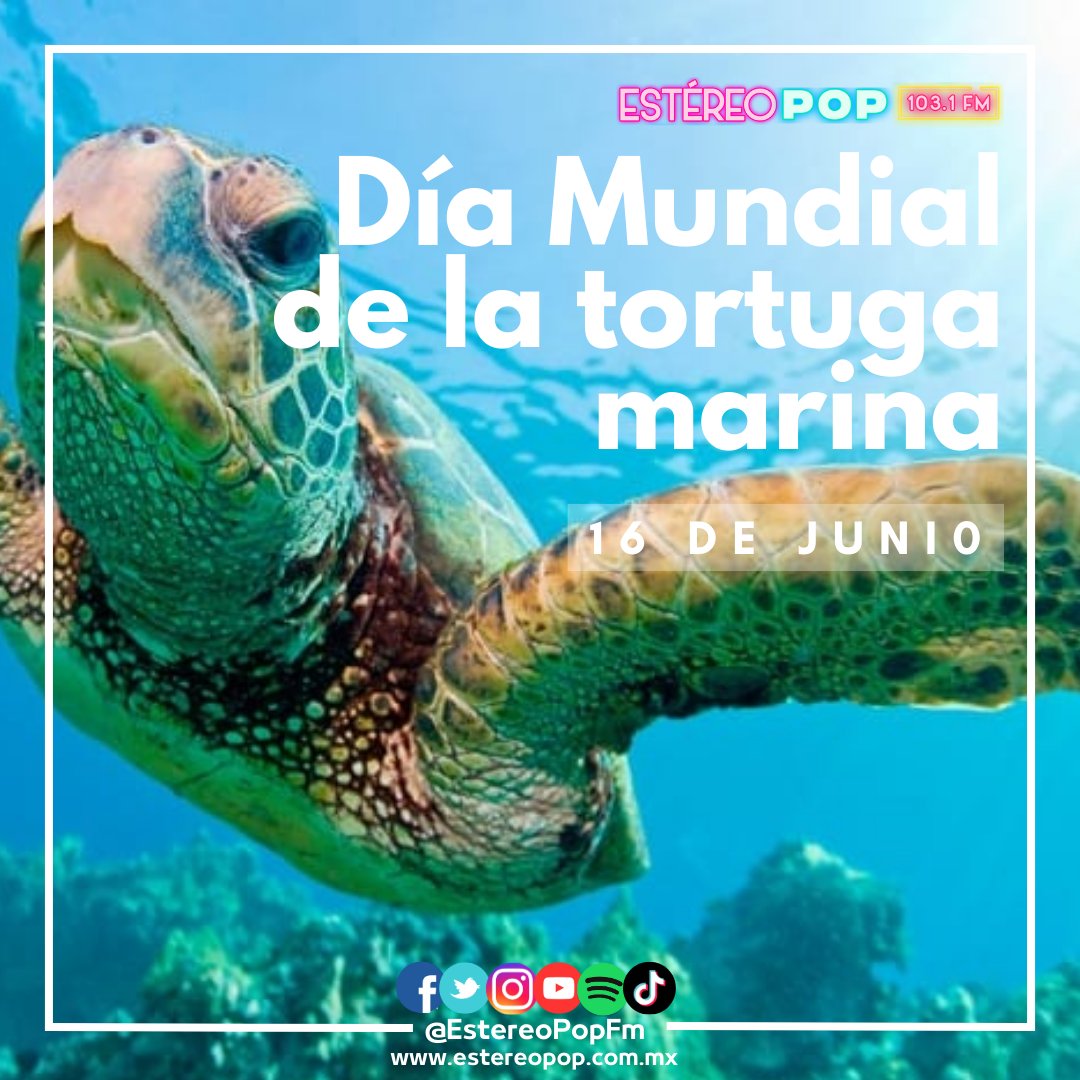 EstereoPopFM's tweet photo. #16DeJunio #DíaMundialDeLaTortugaMarina https://t.co/0uqlukyhDH